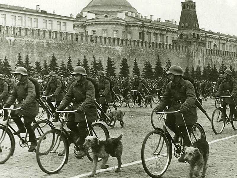 Велосипедные военные собаководы